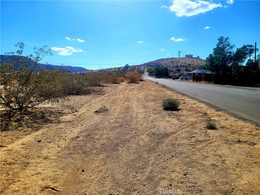 MLS #JT25171128 image #5