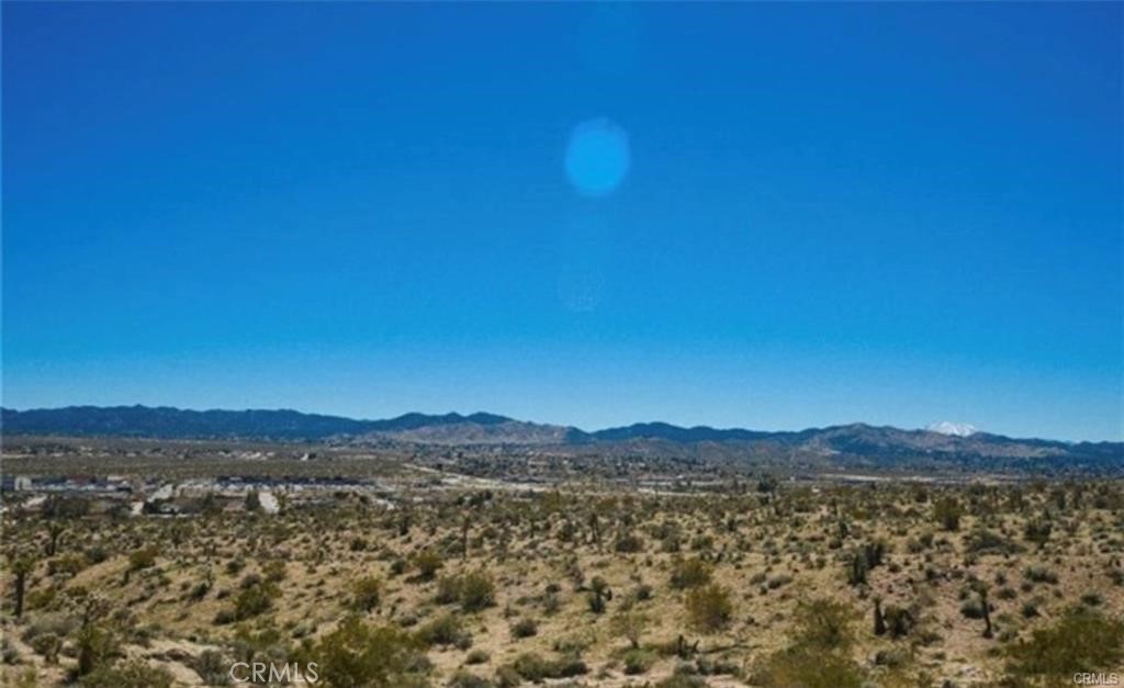 MLS #JT25172497 image #1