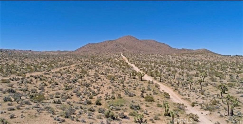 MLS #JT25172497 image #3