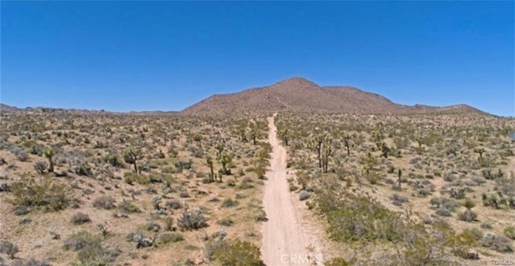 MLS #JT25172497 image #4