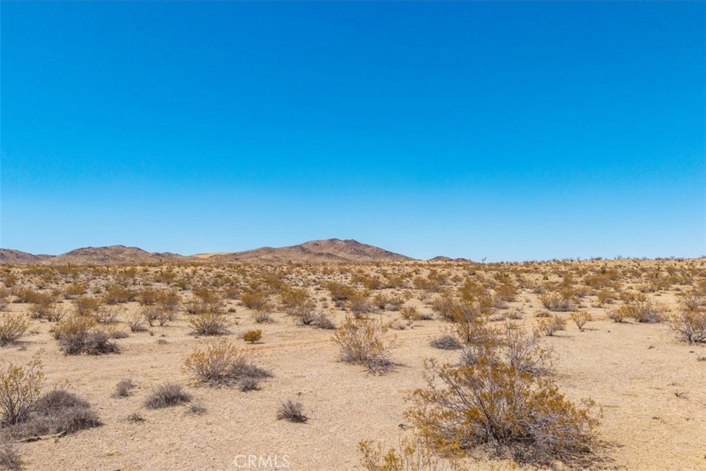 MLS #JT25173166 image #13