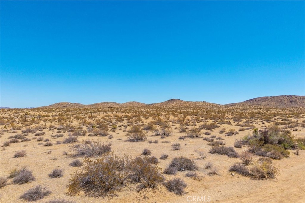 MLS #JT25173166 image #16