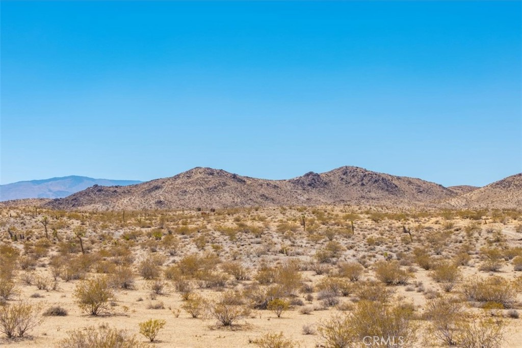 MLS #JT25173166 image #17