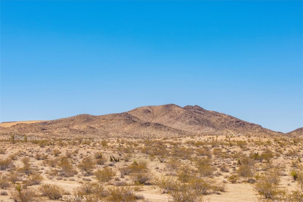 MLS #JT25173166 image #18