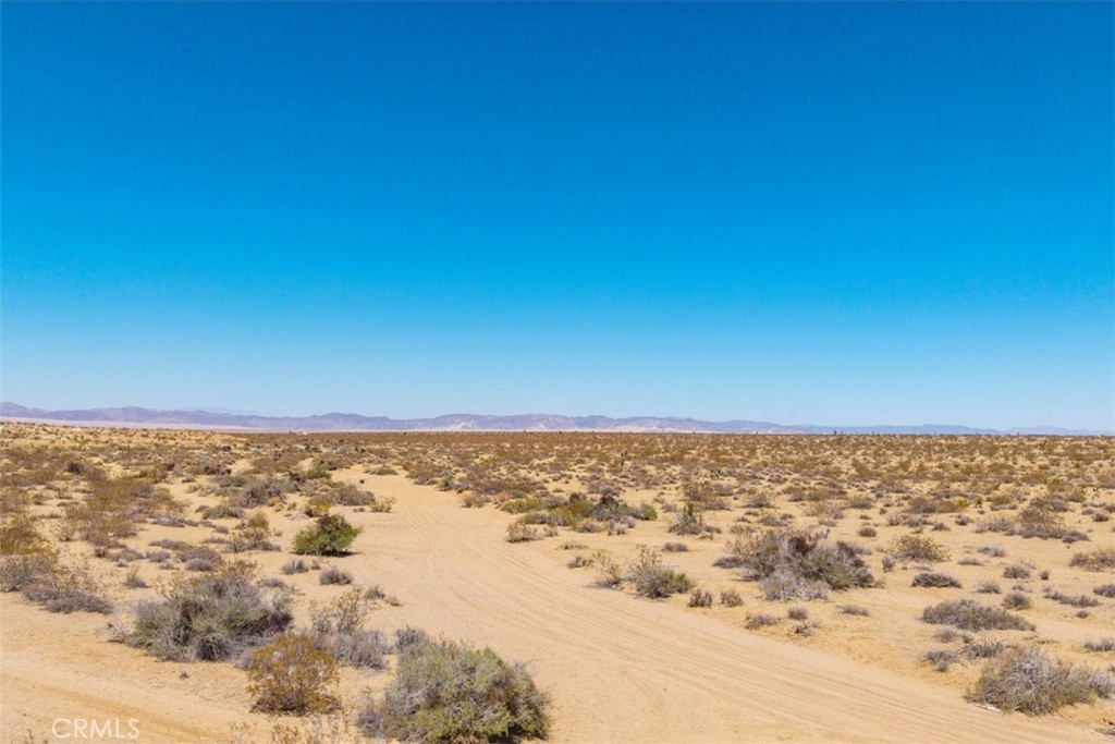 MLS #JT25173166 image #2