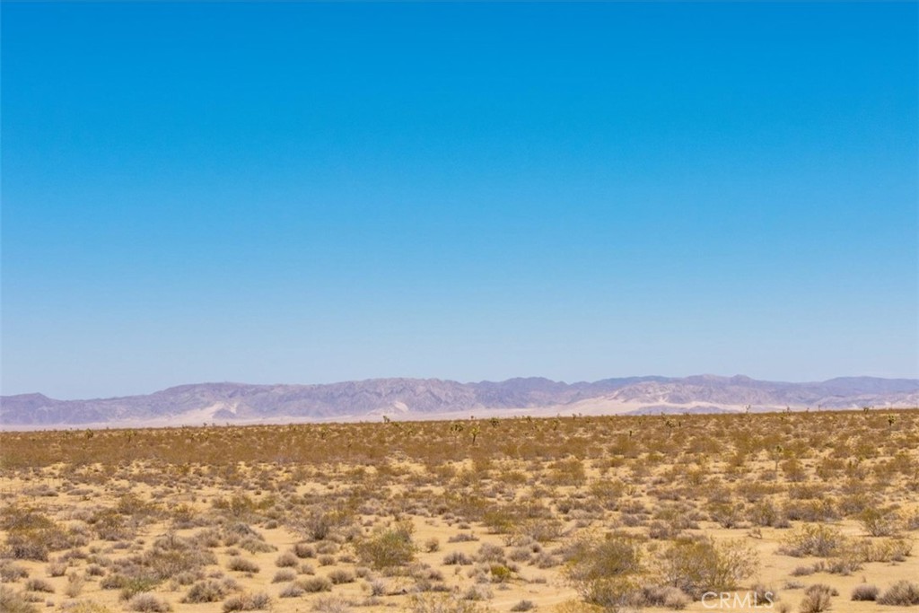 MLS #JT25173166 image #20