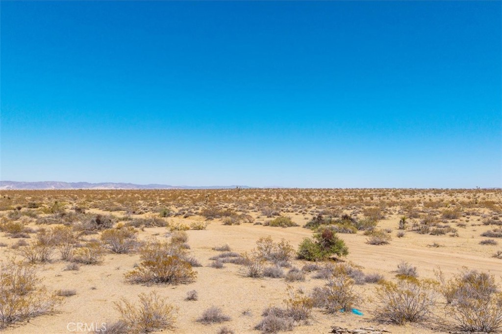 MLS #JT25173166 image #3