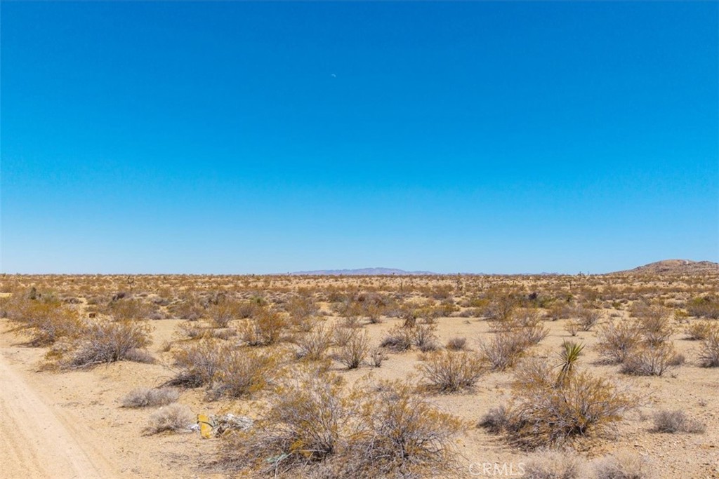 MLS #JT25173166 image #4