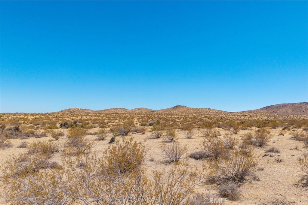 MLS #JT25173166 image #5