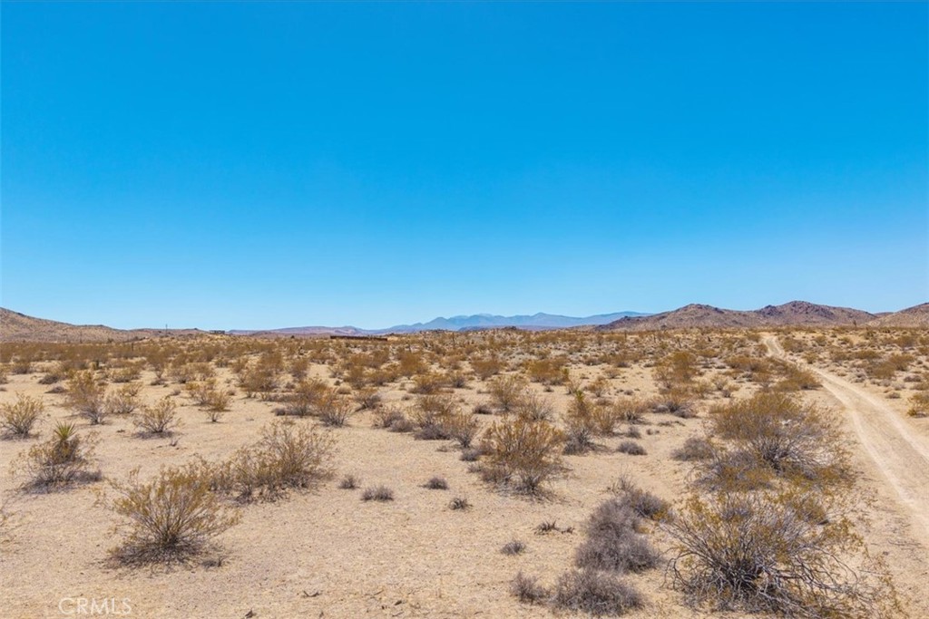 MLS #JT25173166 image #8