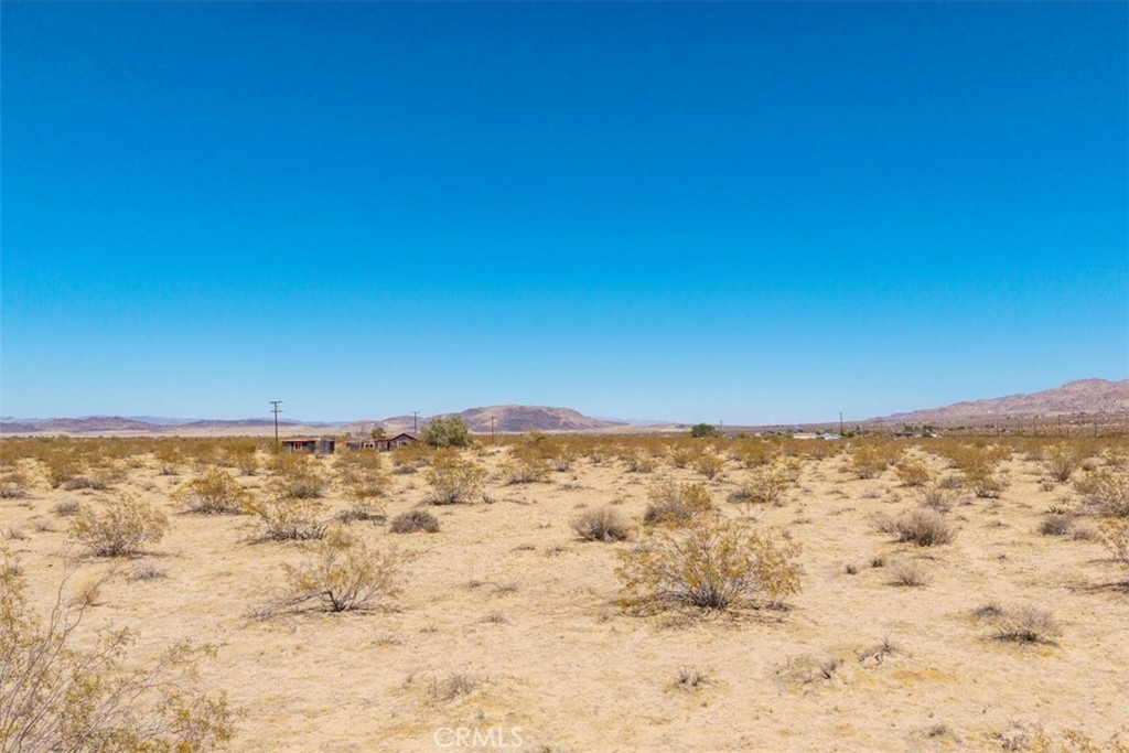 MLS #JT25173196 image #13