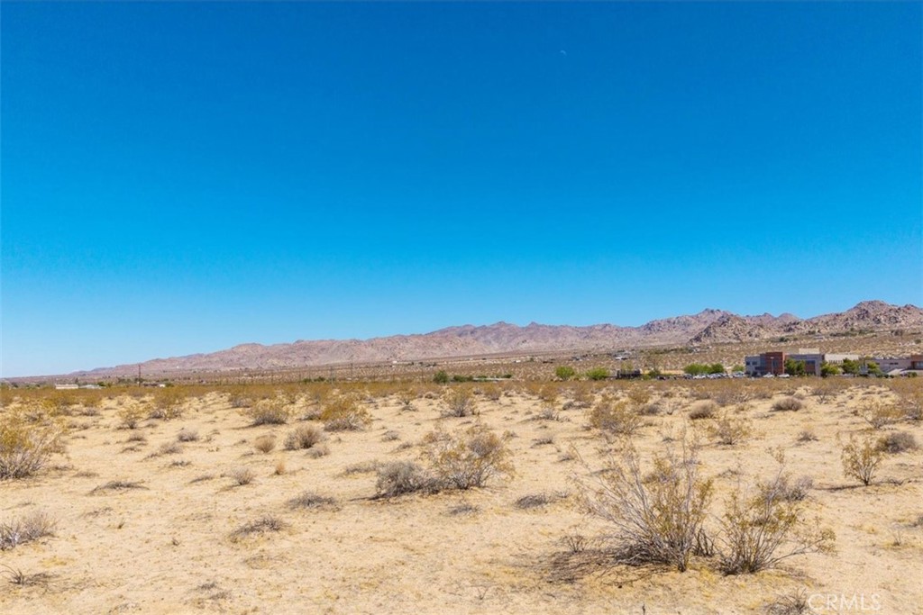 MLS #JT25173196 image #14