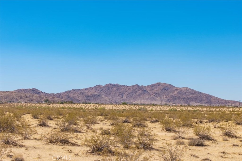 MLS #JT25173196 image #18