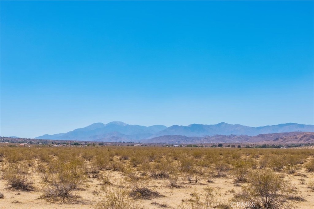 MLS #JT25173196 image #19