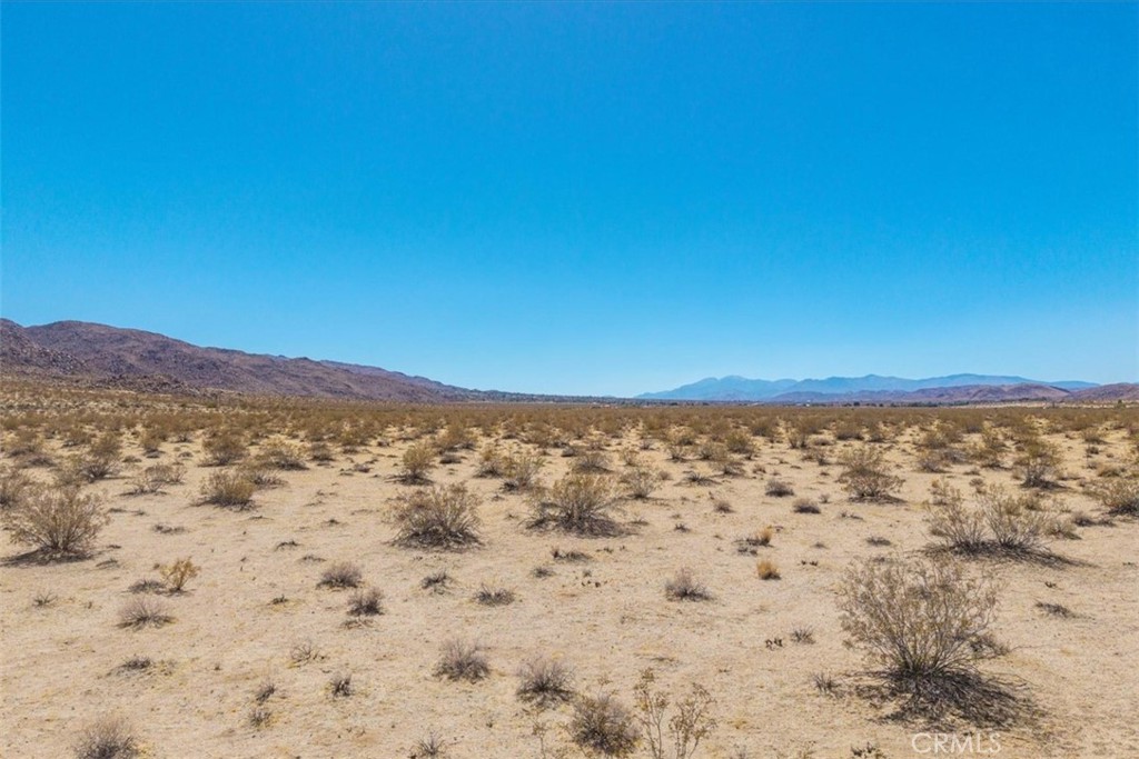 MLS #JT25173196 image #4