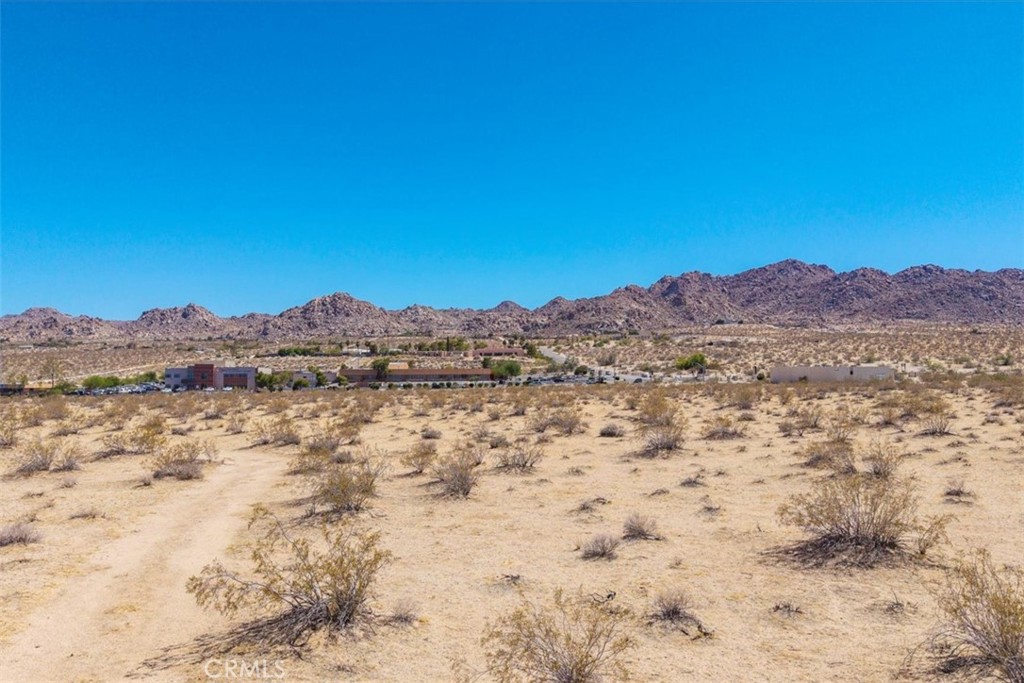 MLS #JT25173196 image #5