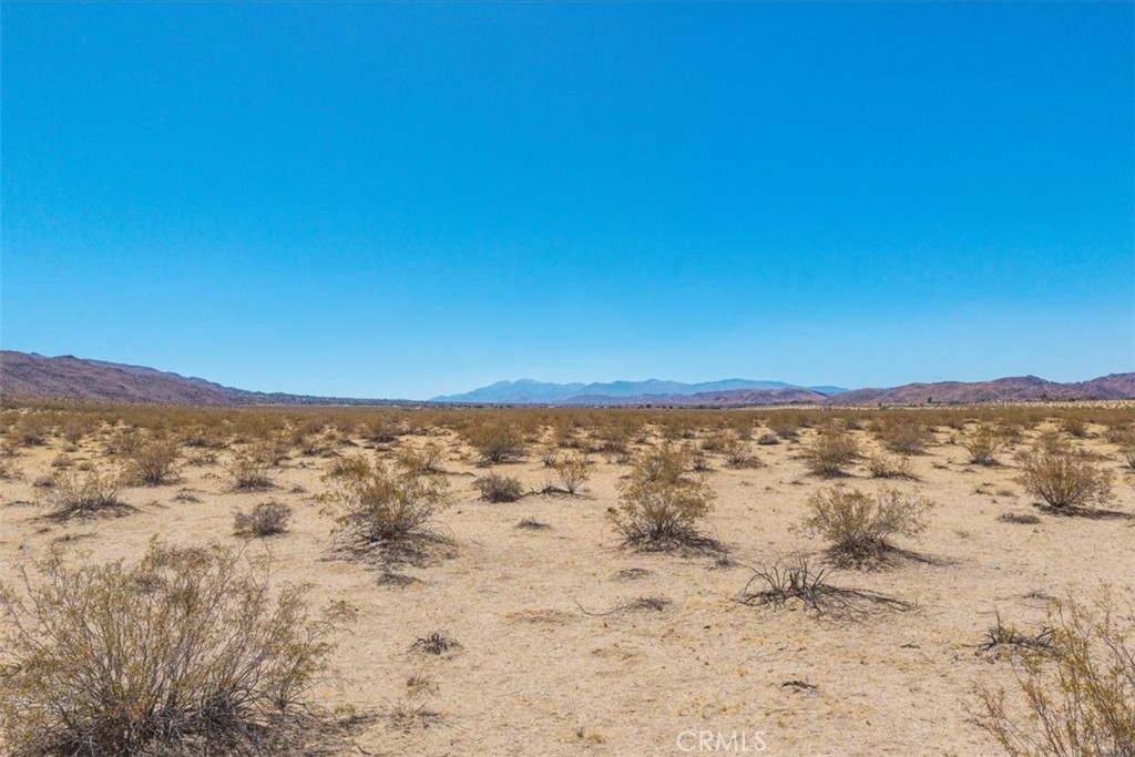 MLS #JT25173196 image #6