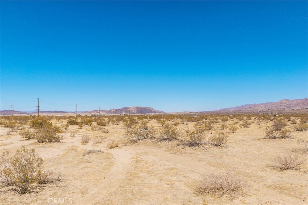 MLS #JT25173245 image #1