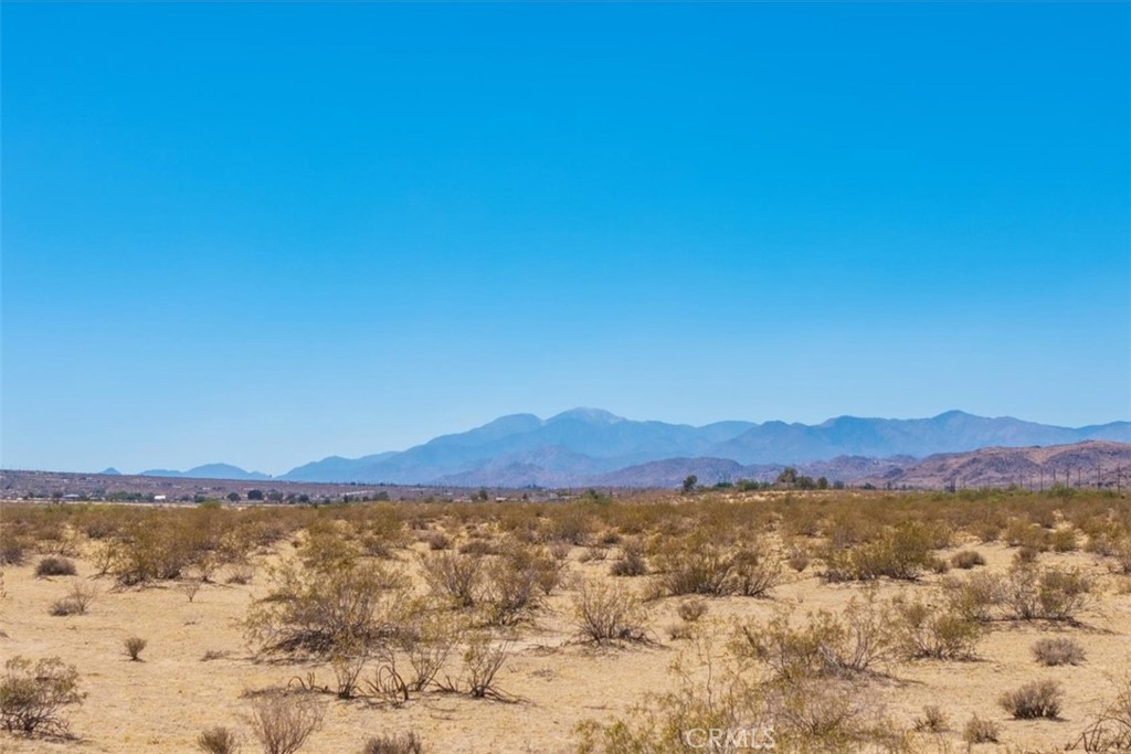 MLS #JT25173245 image #10