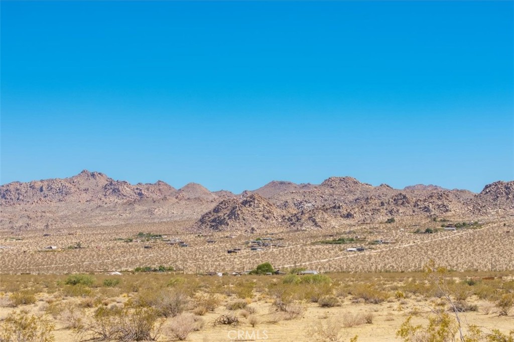 MLS #JT25173245 image #13