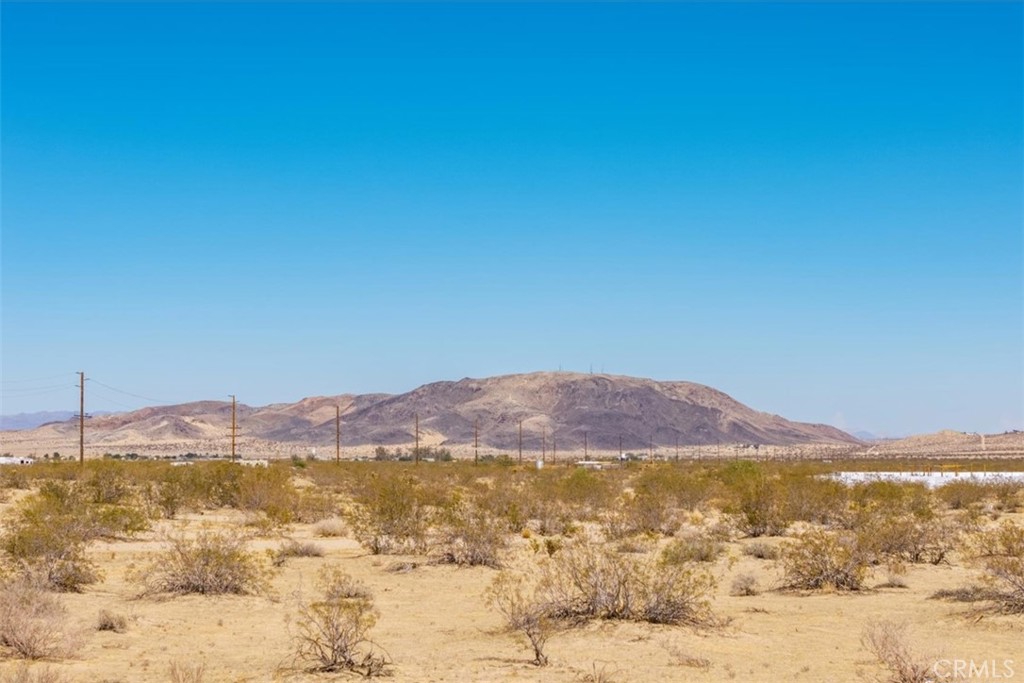 MLS #JT25173245 image #14