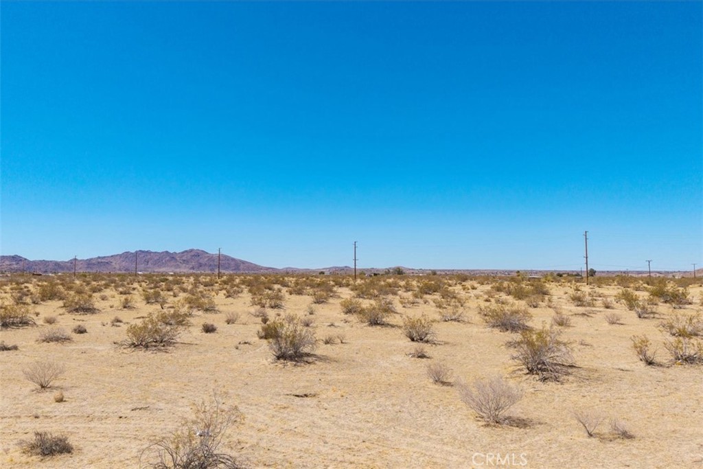 MLS #JT25173245 image #15