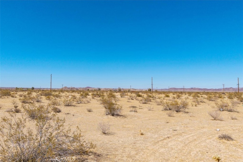 MLS #JT25173245 image #16