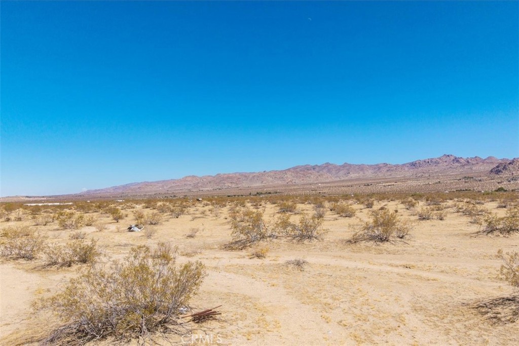 MLS #JT25173245 image #2