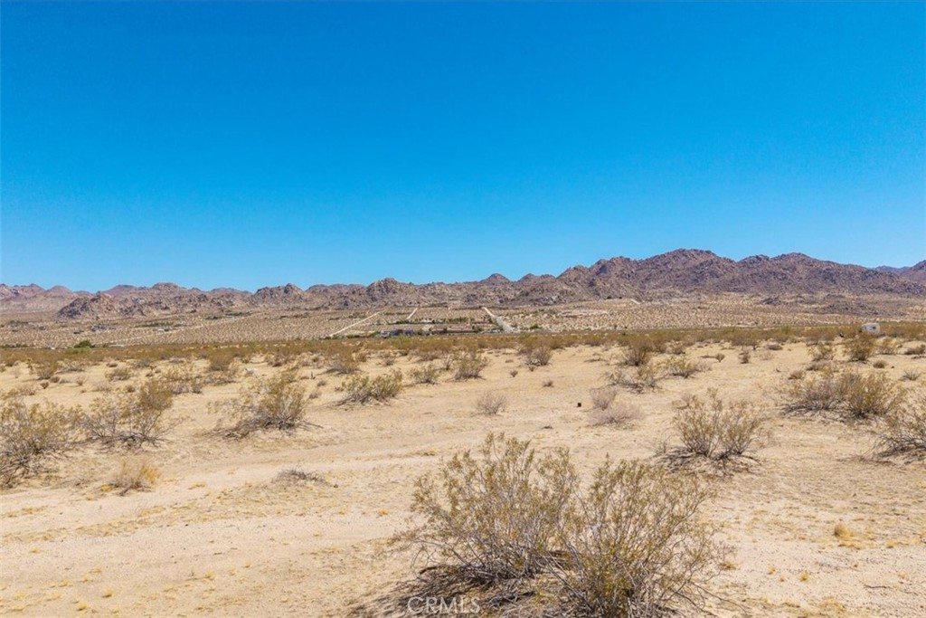 MLS #JT25173245 image #3