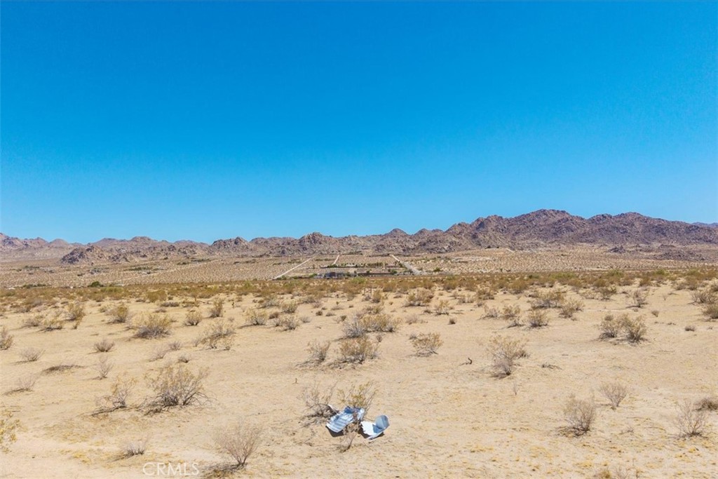 MLS #JT25173245 image #4