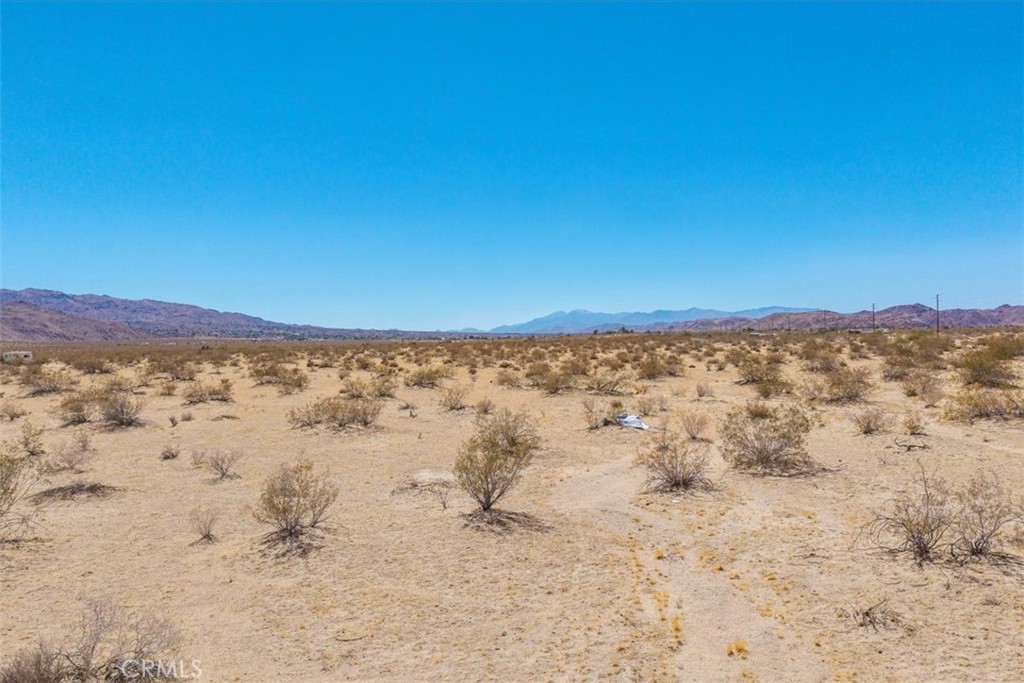 MLS #JT25173245 image #6