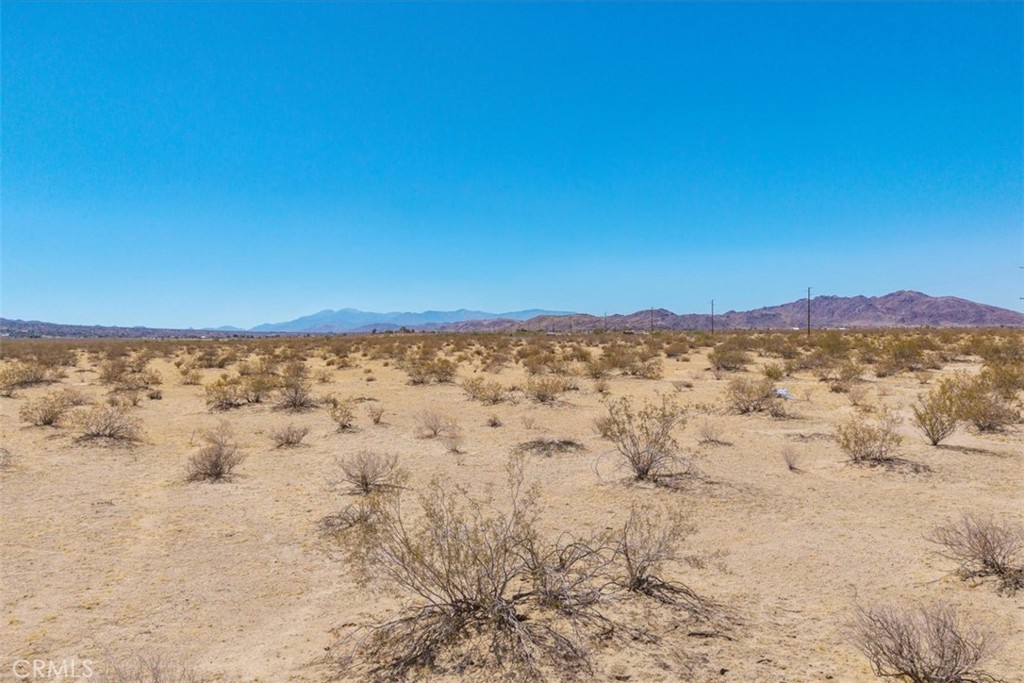 MLS #JT25173245 image #7