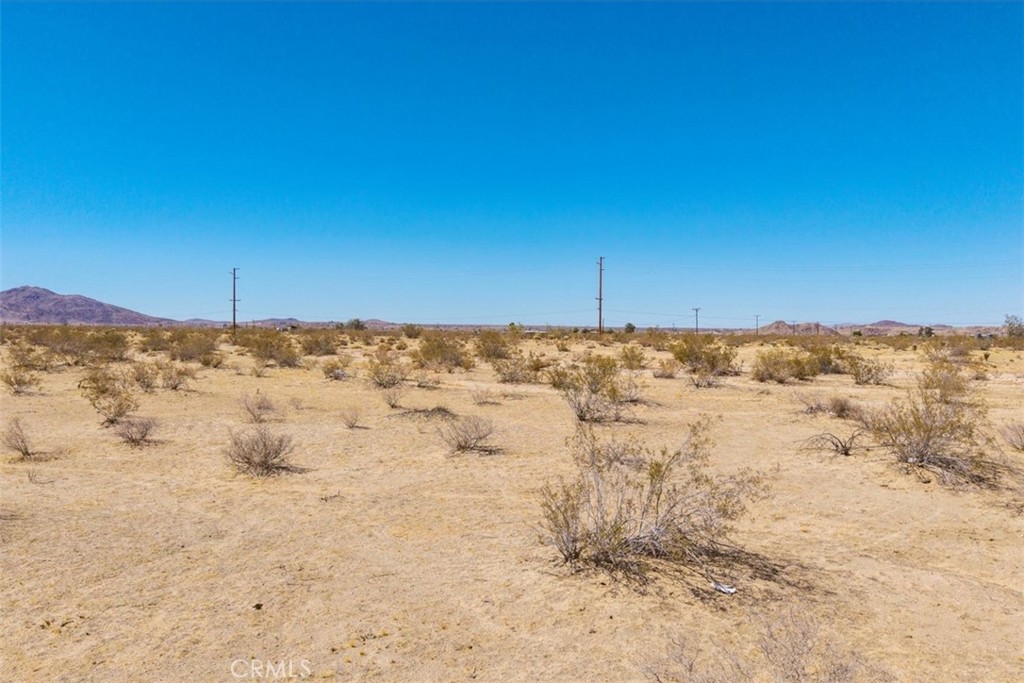 MLS #JT25173245 image #8