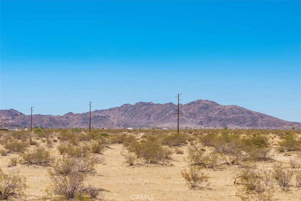 MLS #JT25173245 image #9