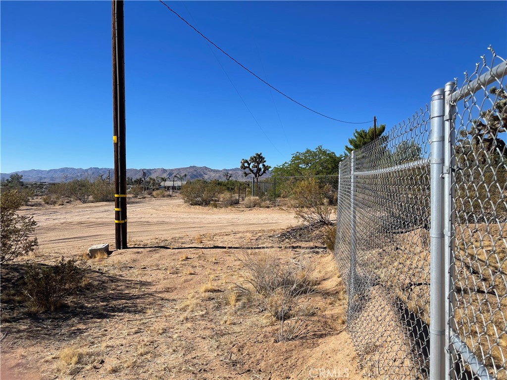 MLS #JT25174119 image #5