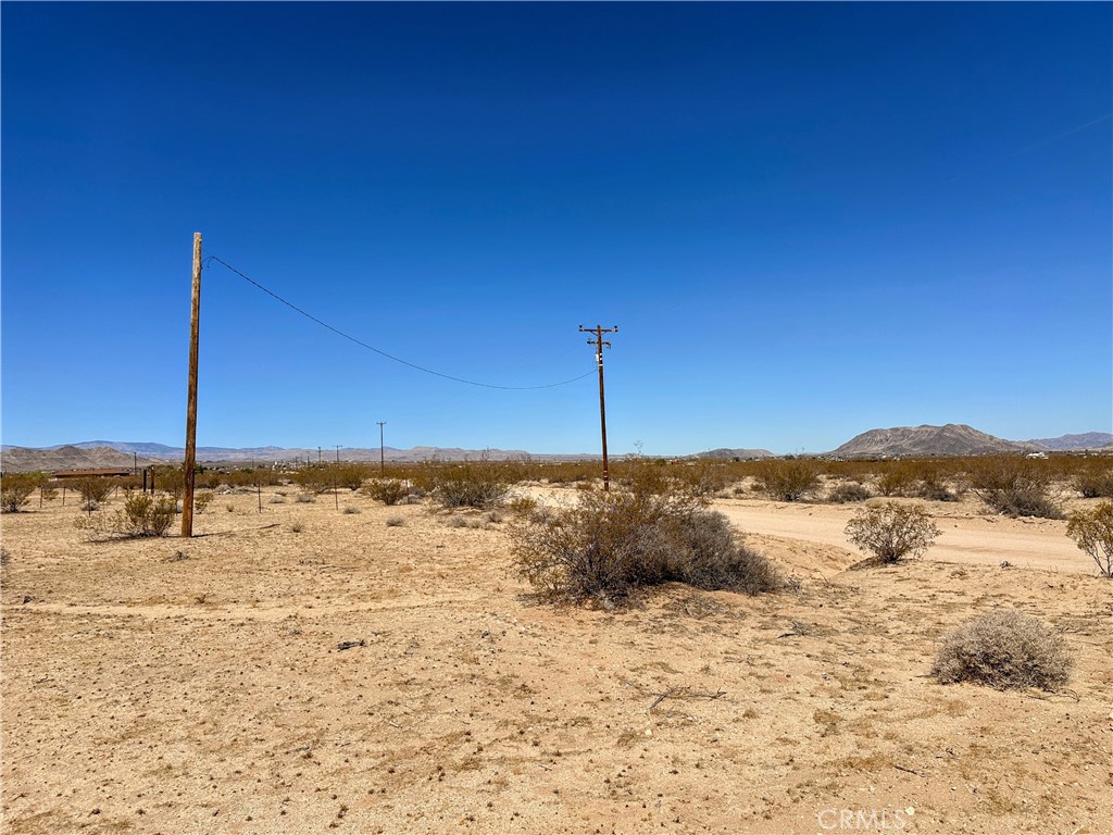 MLS #JT25175379 image #7