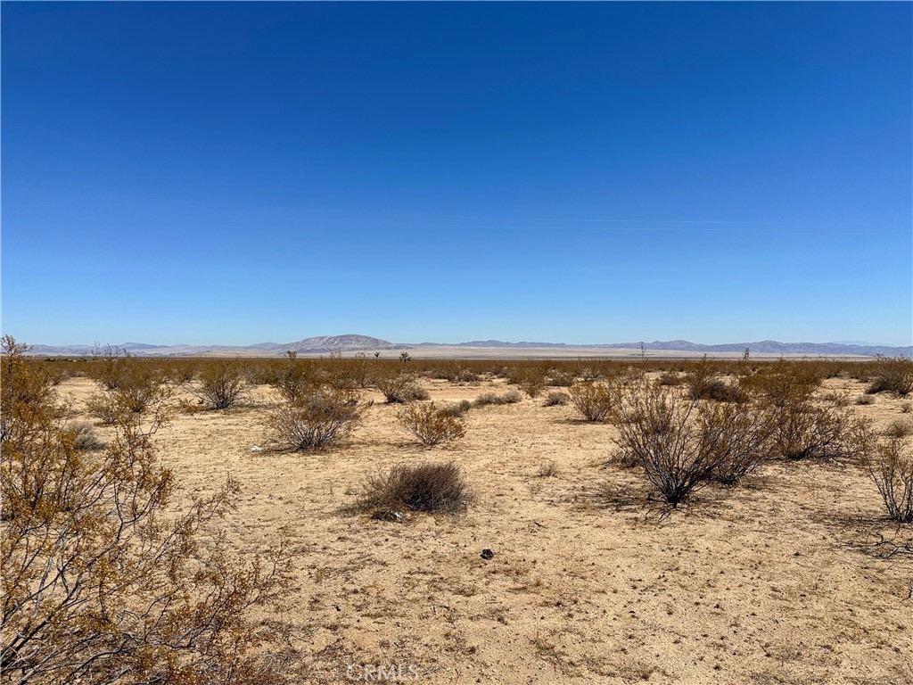 MLS #JT25175379 image #8