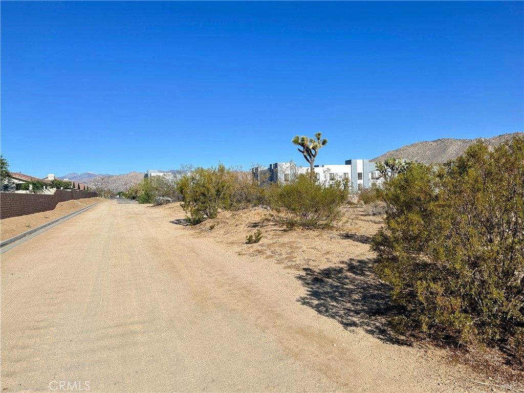 MLS #JT25176683 image #8