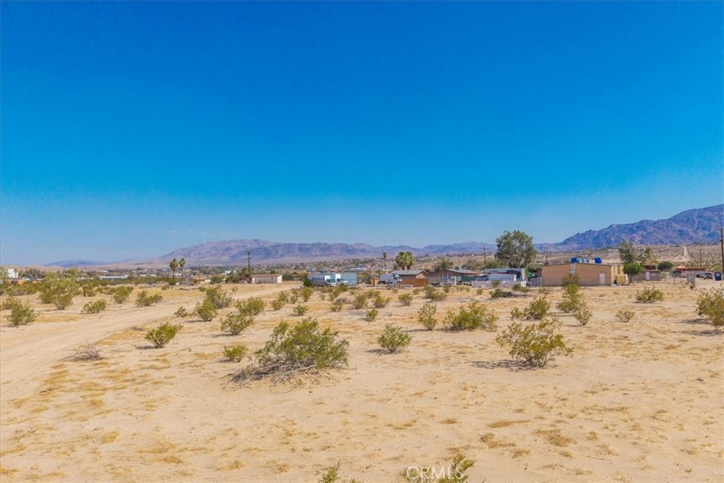 MLS #JT25177017 image #1