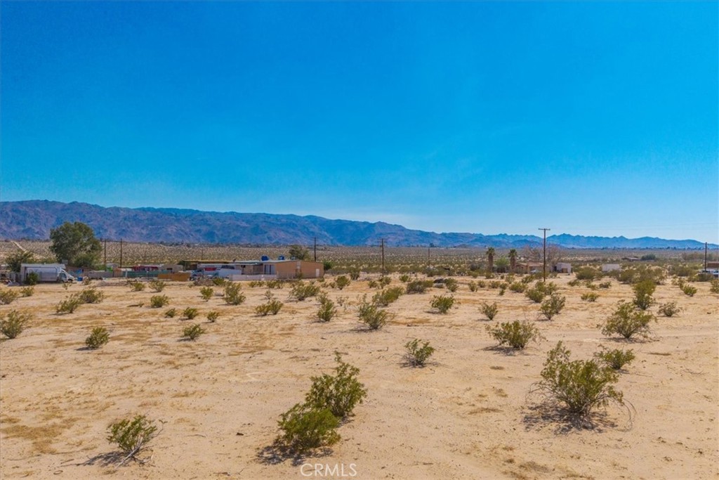 MLS #JT25177017 image #11