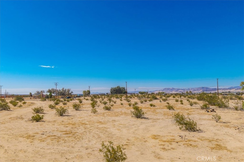 MLS #JT25177017 image #17