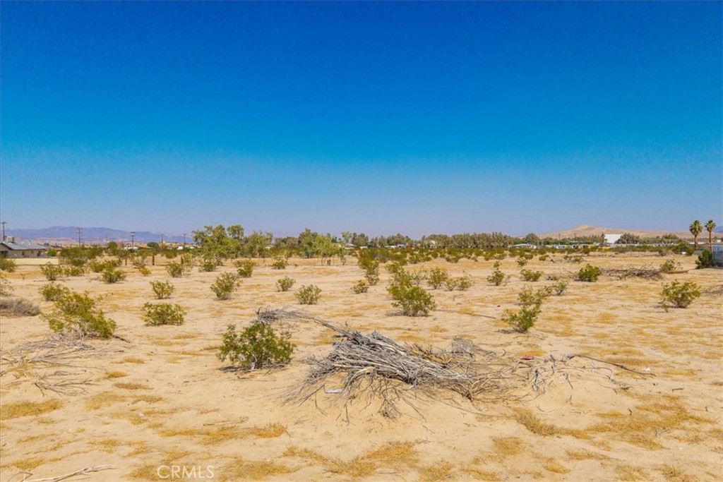 MLS #JT25177017 image #20