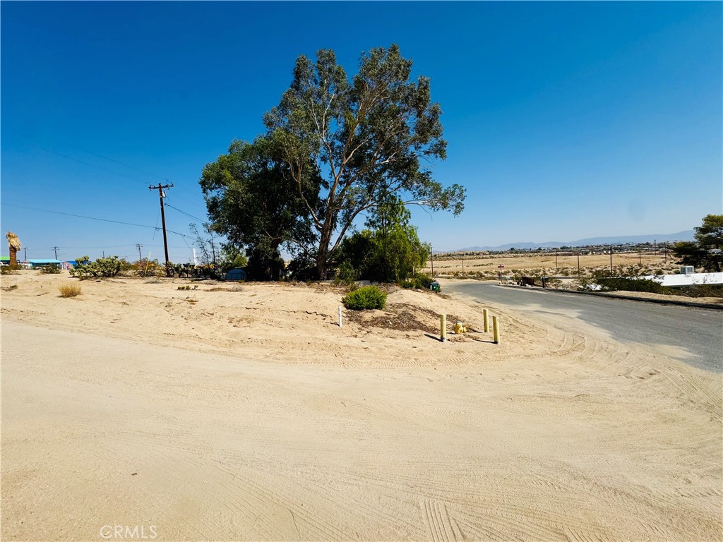 MLS #JT25177457 image #3