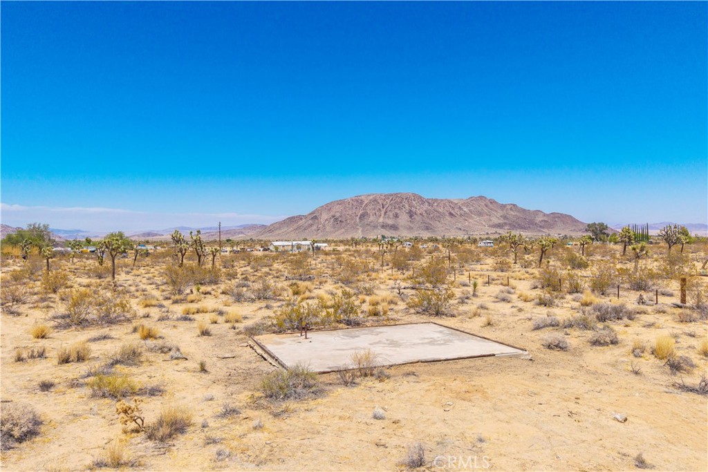 MLS #JT25178582 image #1