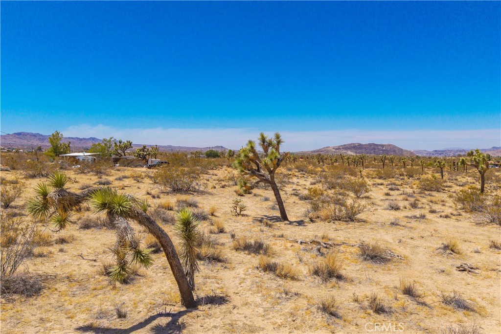 MLS #JT25178582 image #12