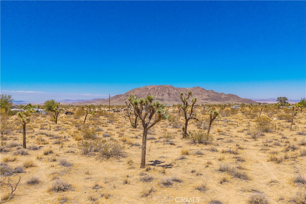 MLS #JT25178582 image #14