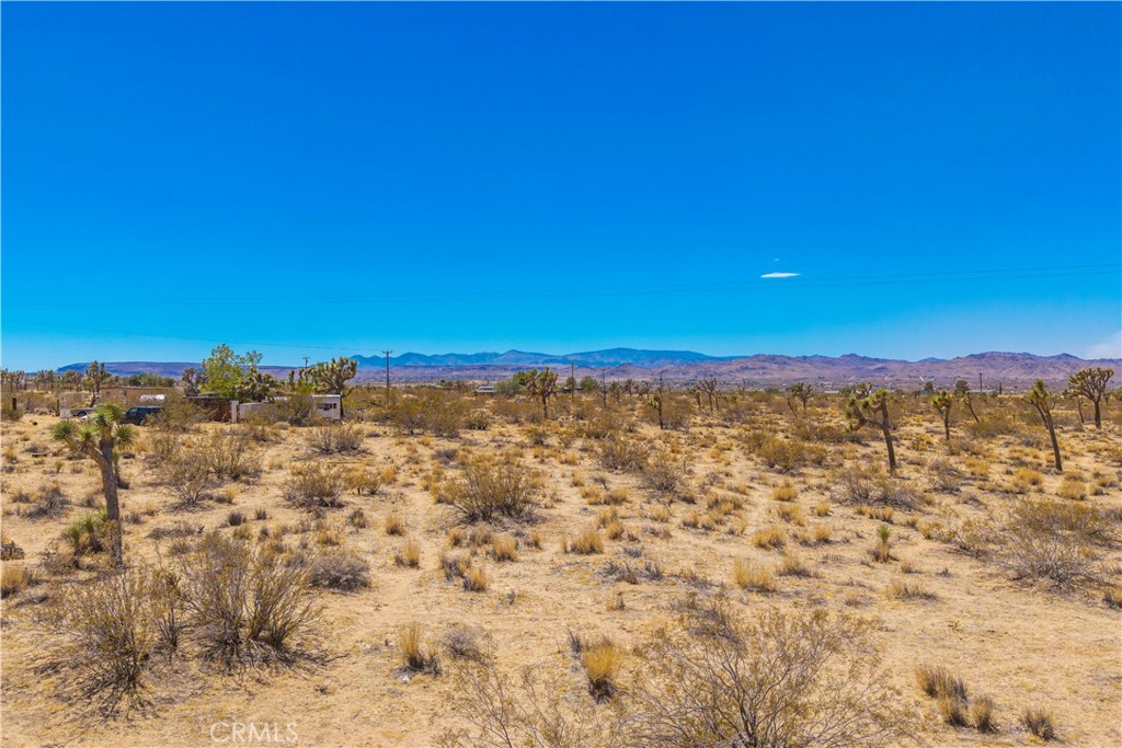 MLS #JT25178582 image #16