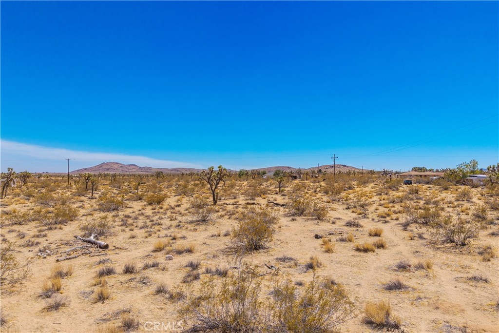 MLS #JT25178582 image #21