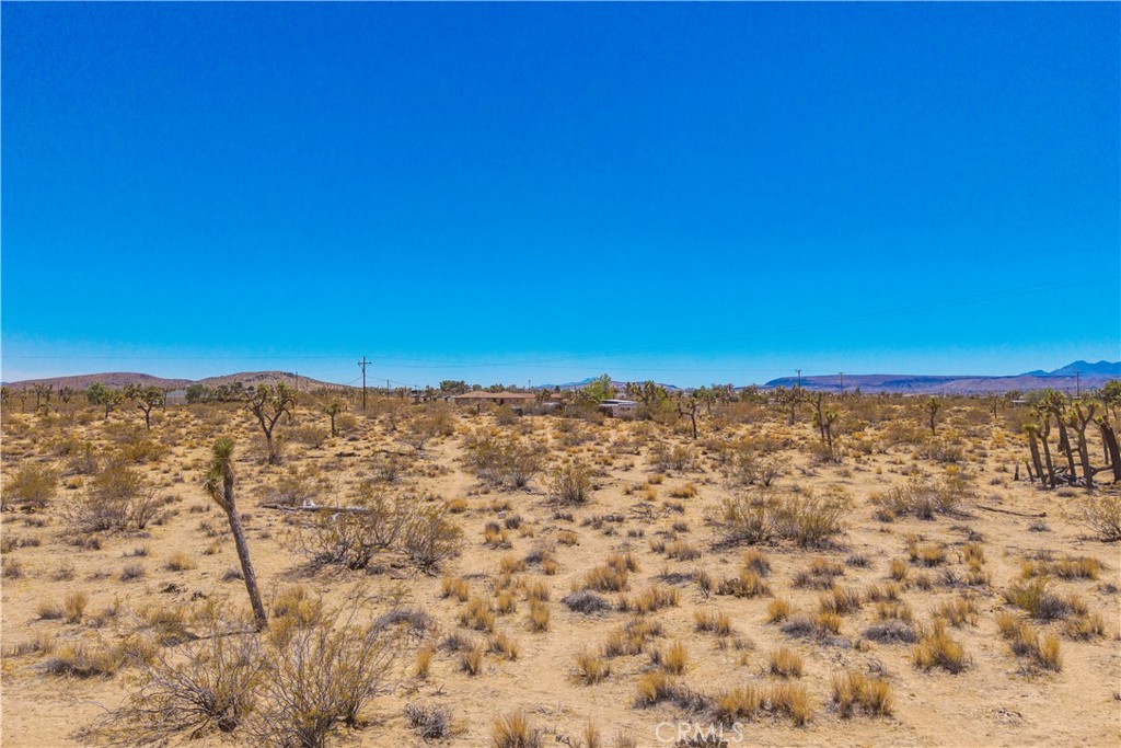 MLS #JT25178582 image #22