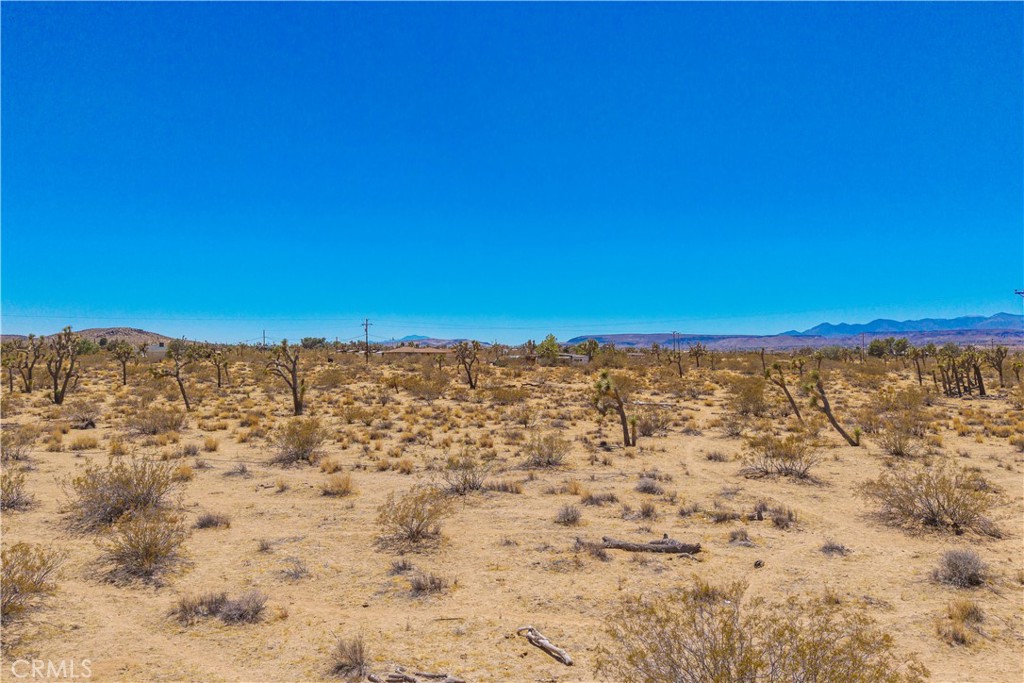 MLS #JT25178582 image #23